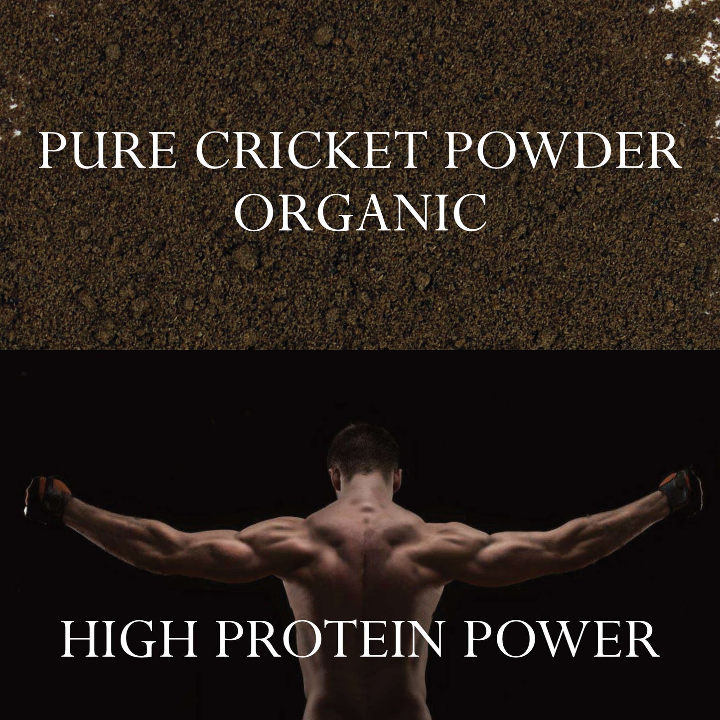 Cricket Powder High Protein Content Organic - Pure, Keto, Paleo